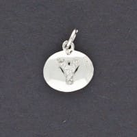 Y - CZ Initial - Charm