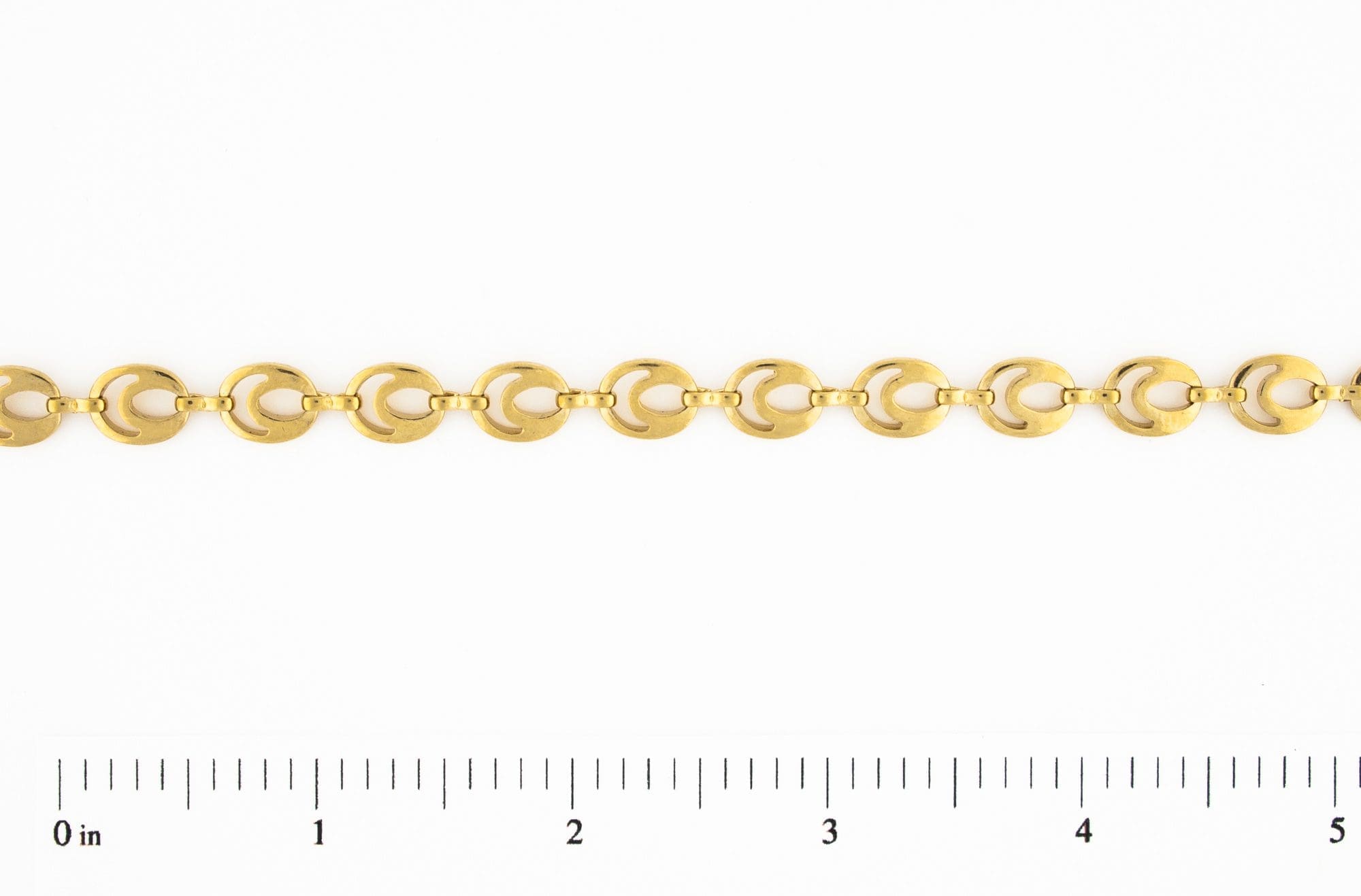 Evolution Chain
